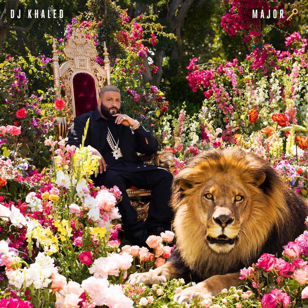 album img